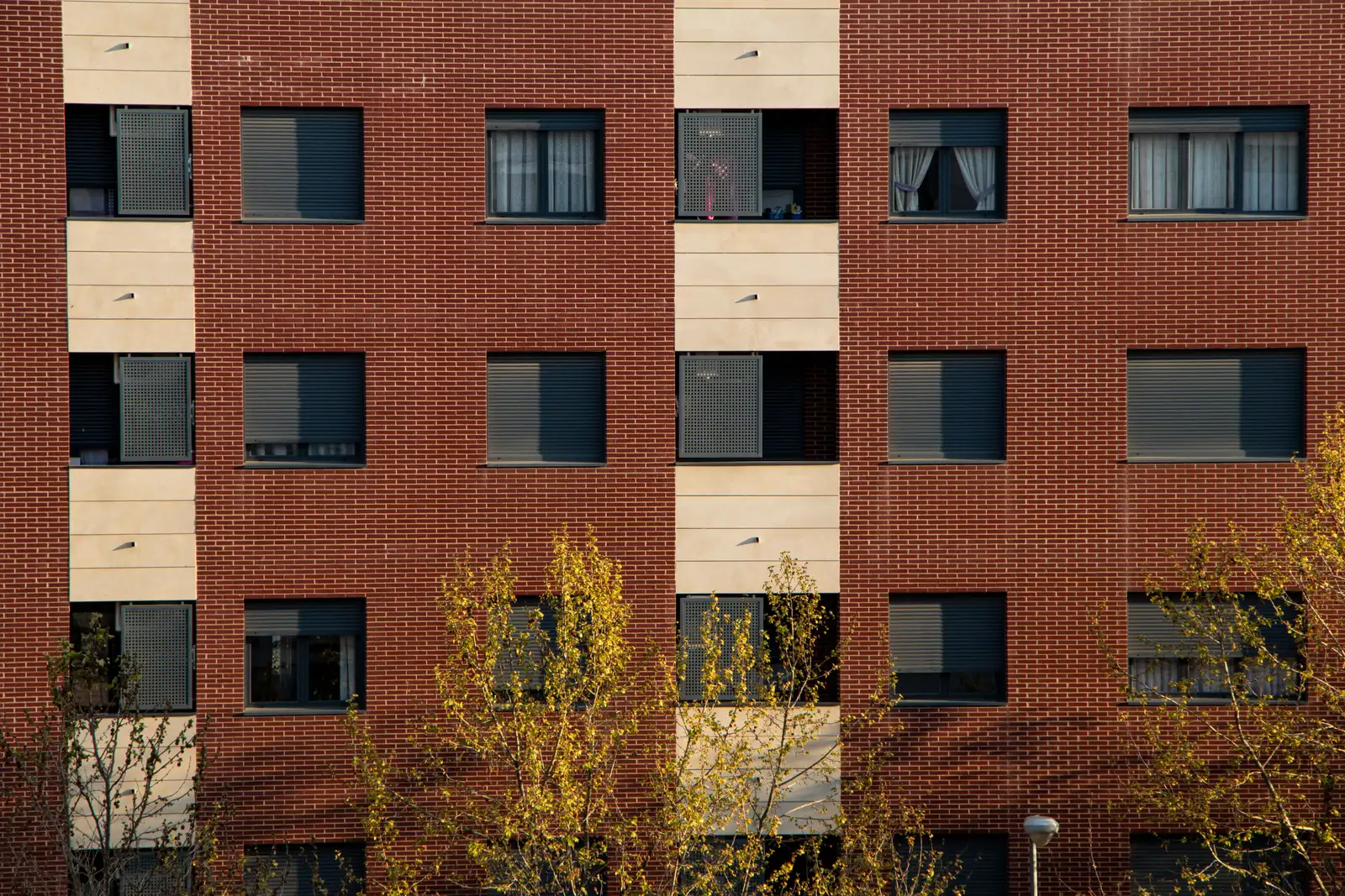 Fachada de un edificio residencial de ladrillo rojo con bandas verticales de paneles claros y ventanas rectangulares alineadas en varias plantas, parcialmente ocultas por árboles de hojas amarillas.